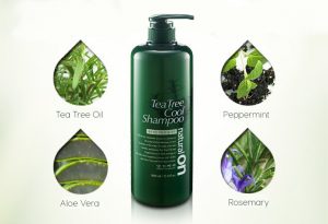 Tea_Tree_Cool_Shampoo_Saeng_Go_Meo_RI