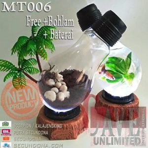 lampu_meja_terrarium_aquarium