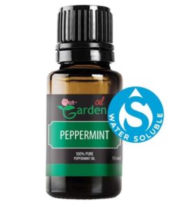 foto-essentials-oil-yang-menyehatkan-dan-harga-terjangkau-3