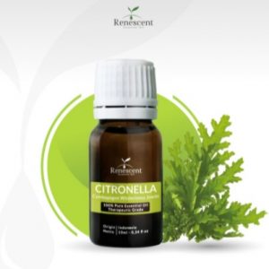 foto-essentials-oil-yang-menyehatkan-dan-harga-terjangkau-5